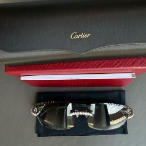 Cartier Men's Shield Sunglasses with Crystal Trim in Black and silver